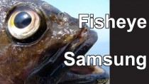 Fisheye Samsung